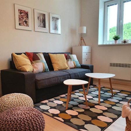 Apartmany Brachovna Mikulov v Krusnych Horach Εξωτερικό φωτογραφία