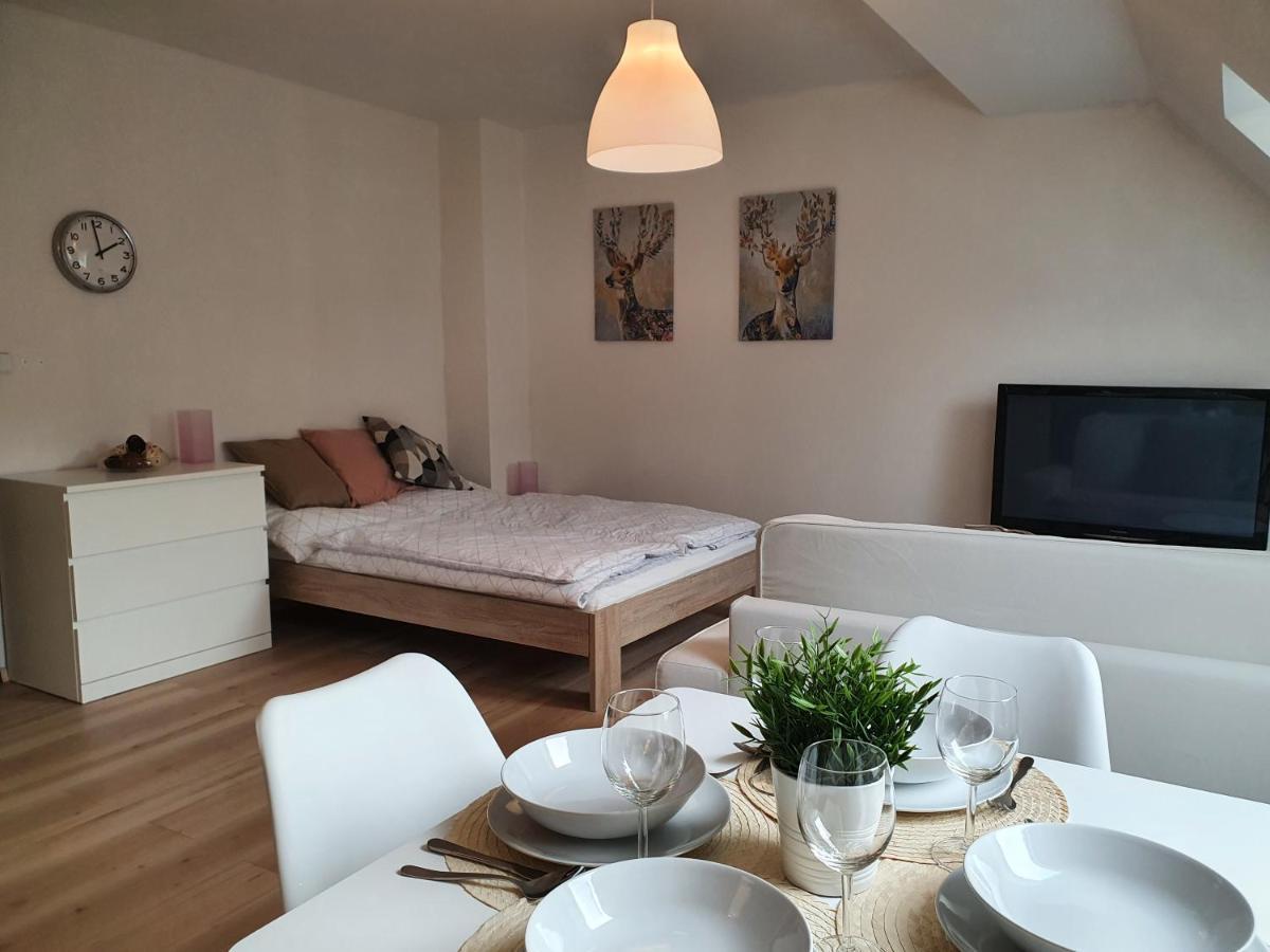 Apartmany Brachovna Mikulov v Krusnych Horach Εξωτερικό φωτογραφία