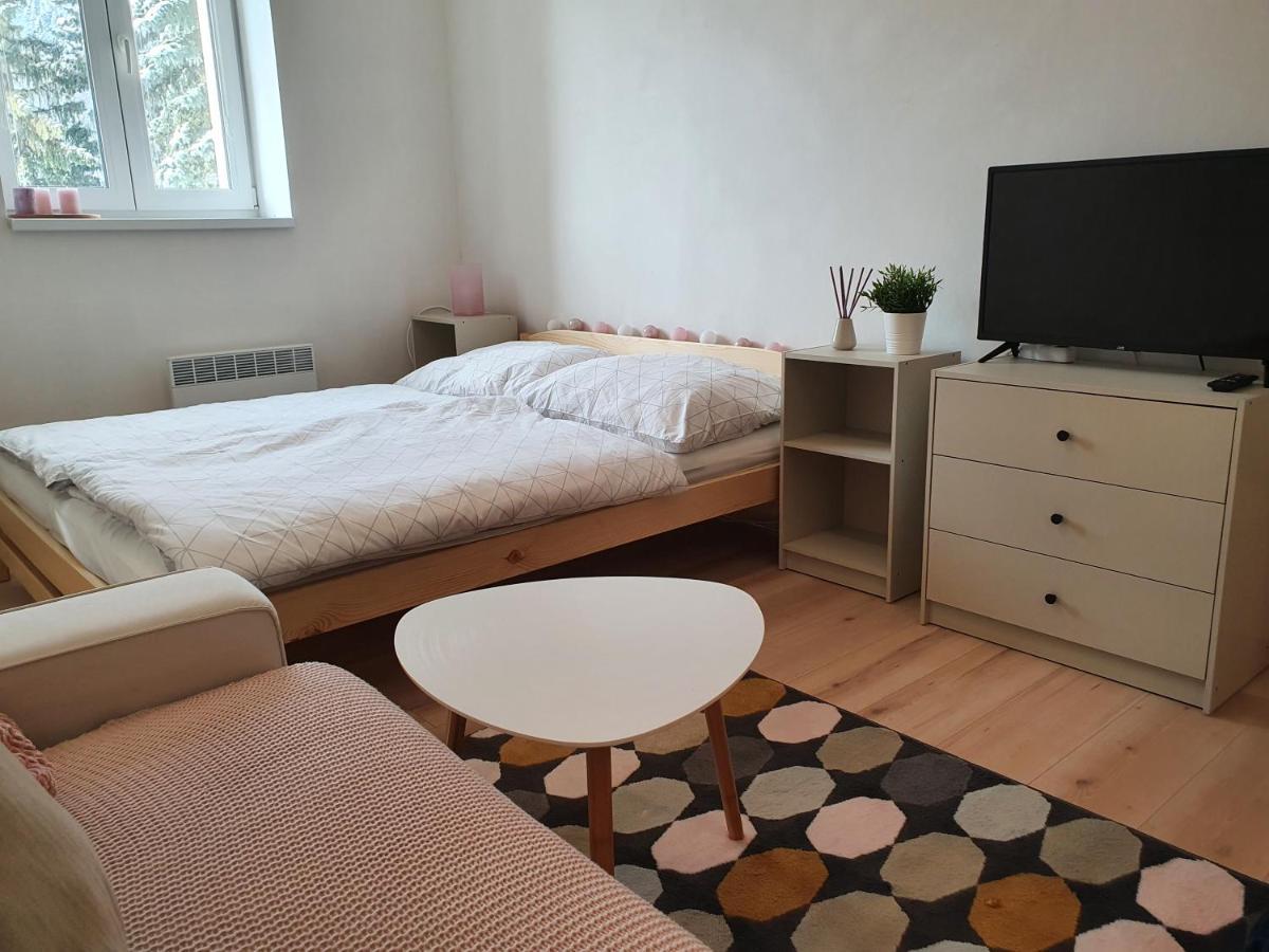 Apartmany Brachovna Mikulov v Krusnych Horach Εξωτερικό φωτογραφία