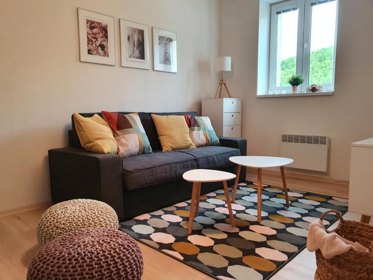 Apartmany Brachovna Mikulov v Krusnych Horach Εξωτερικό φωτογραφία